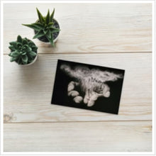Load image into Gallery viewer, Raffle Postcard Print